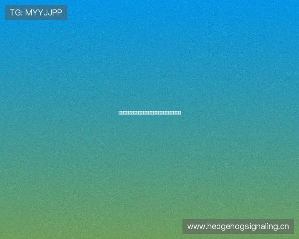 无需注册即可畅享各类热门直播内容全天候免费在线观看