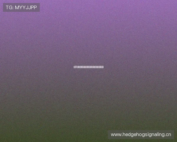 小9体育直播平台的访问途径及使用指南详解