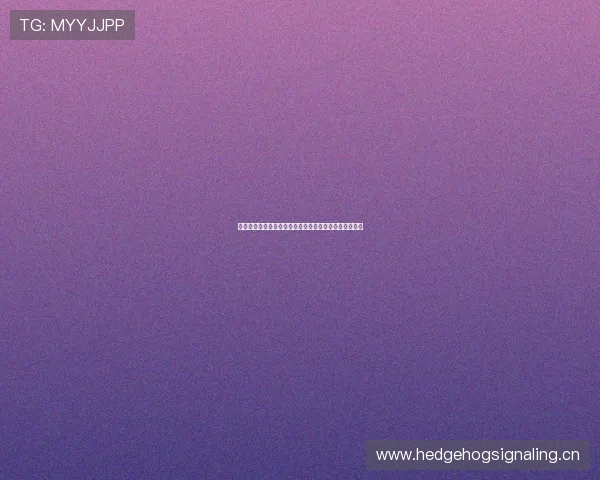 畅享精彩赛事看球直播平台全面开启实时互动与高清转播